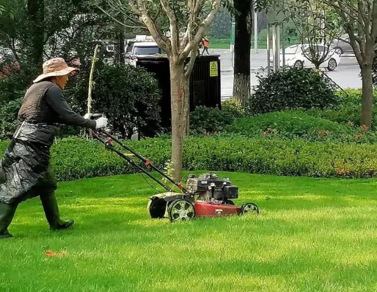 綠化養護包括哪些方面 綠化養護包括什么